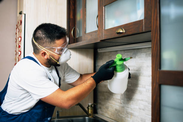 Best Exterminator Services  in North Randall, OH