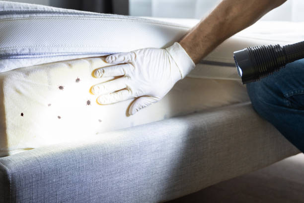 Best Affordable Pest Control Services  in North Randall, OH