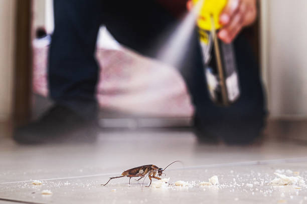 Pest Prevention Services in North Randall, OH