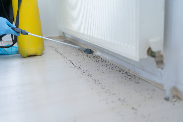 Best Mosquito Control Services  in North Randall, OH